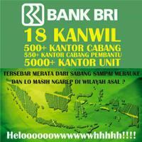 reboot-all-about-program-pengembangan-staff-bank-bri-pps-bri