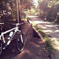 gtgtgtgt-giant-user-official-thread-gtgtgtgt