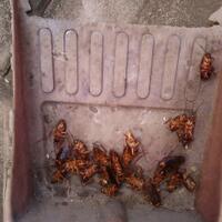 gimana-reaksi-agan-kalo-ngeliat-ini