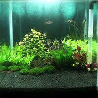aquascape-for-everyone-learning-and-sharing