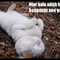 lumayan-lucu-gan-percaya-baca