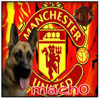 salon-kaskus---menerima-request-avatar