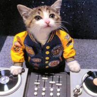 cara-kucing-berkomunikasi