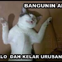 ane-bingung-sama-buyer-yang-satu-ini--masuk-deh-gan