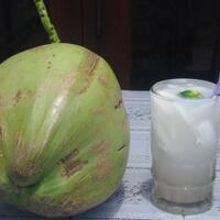 lounge-brotherhood-of-the-mountain