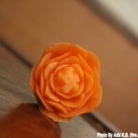 nongkrong-bareng-macro-micro-photography