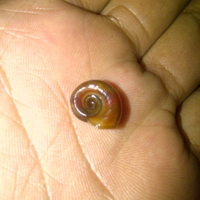 aquascape-for-everyone-learning-and-sharing