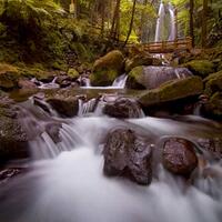 info-kecil-di-tahun-ke-5