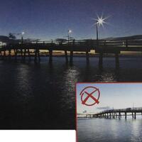 info-kecil-cameracoid