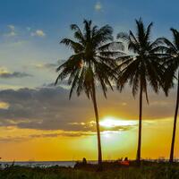 info-kecil-di-tahun-ke-5