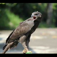 nongkrong-bareng-yang-masih-amatiran-dan-newbie---part-5