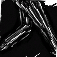 ayo-posting-lukisan-agan-di-sini