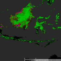 ini-nih-wajah-menyedihkan-hutan-indonesia-dalam-peta-google-earth