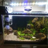 aquascape-for-everyone-learning-and-sharing