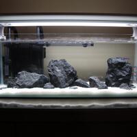 aquarium-thingy-for-starter-dari-newbie-untuk-newbie