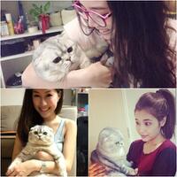 5-cara-kucing-membodohi-anda