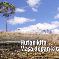 hot-gan-google-earth-tunjukkan-wajah-menyedihkan-hutan-indonesia