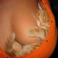 warung-kopi-10-lounge-bp-raya---part-1