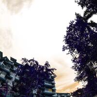 fish-eye-photograpy-discussion-n-gallery