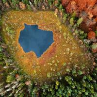 foto-foto-menakjubkan-hutan-di-polandia-pada-musim-gugur-karya-kacper-kowalski