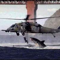 benarkah-foto-foto-ini-ternyata-hoax