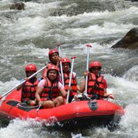 9829982998299658messykitchen9668982998299829