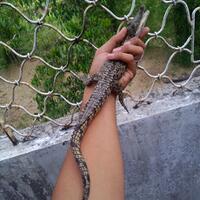 11-foto-cute-orang-orang-yang-setia-sama-hewan-peliharannya-sampai-dewasa