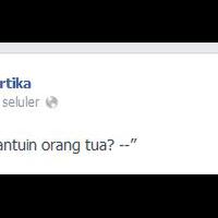 foto-foto-mengharukan-singa-besar-ini-masih-mengingat-penyelamatnya-saat-masih-bayi