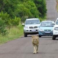 hanya-terjadi-di-afrika