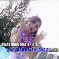 jenis-jenis-kucing-dan-karakteristiknya