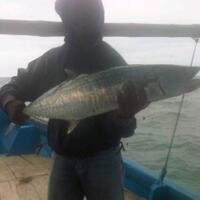 sharing-yukk-sensasi-mancing-dengan-light-tackle