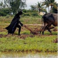 skyadmirer-mmm-celengan-ajaib-30---bulan-mau-mau-mau