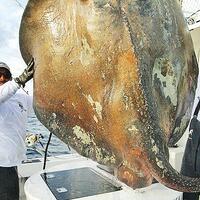 pemancing-di-florida-temukan-ikan-aneh-seperti-monster