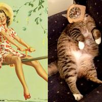 foto-pose-pose-kucing-bergaya-ala-wanita-seksi