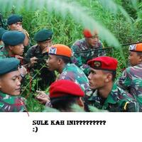 ternyata-sule-seorang-tni-gan