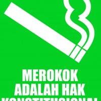 saudara-kembar-ini-satu-perokoksatu-nggak-bisa-membedakannya