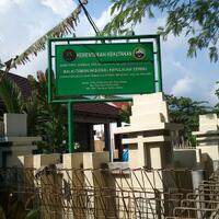 stop-jual-beli-penyu-dengan-embel2-quotair-tawarquot