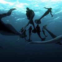 10-temuan-menggemparkan-di-bulan-november-2013