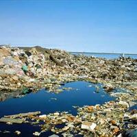 wow-gan-ada-ikan-pemakan-plastik