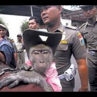 pakai-baju-betawi-jokowi-dipuji-ganteng-oleh-menakertrans