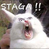 rumah-limas-75-prime-id-sabtu-sd-selasa---ngobrol-santai-disini