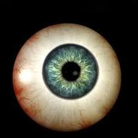 jam-kerja-organ-organ-tubuh-kita-harus-tau