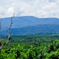 bumi-kalimantan-hancur-oleh-tambang-batu-bara