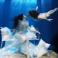 harusnya-ikan-kenapa-ginian-di-aquarium-bb18-parental-advisory-need