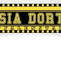 bvb-dortmund-09--echte-liebe----season-2013-2014