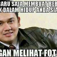 mengenal-lebih-dekat-sand-cat--kucing-pasir