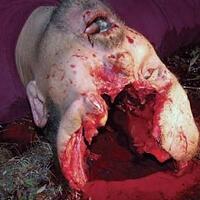 10-sniper-terhebat-sepanjang-masa