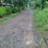 bekasi-runners-yang-hobi-jogging-dan-jalan-sehat--cekidot