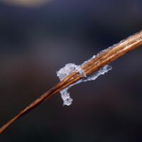 ranu-kumbolo-bersalju