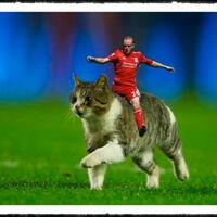 l4us-it039s-not-a-badge--it039s-family-crest---part-17